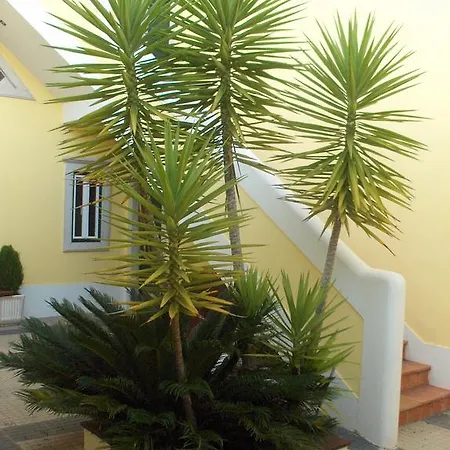 Séjour à la campagne Aqc - A Quinta Chama Caldas Da Rainha