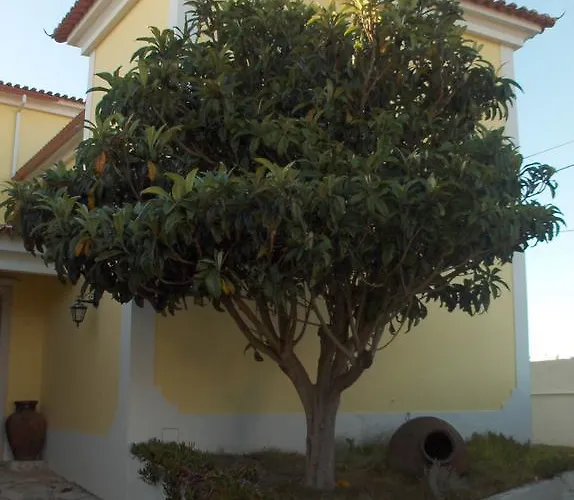 Aqc - A Quinta Chama *