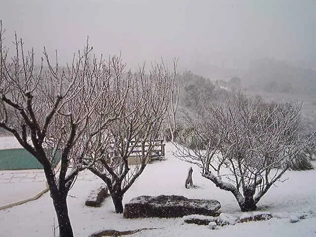 カントリーハウス Aqc - A Quinta Chama *